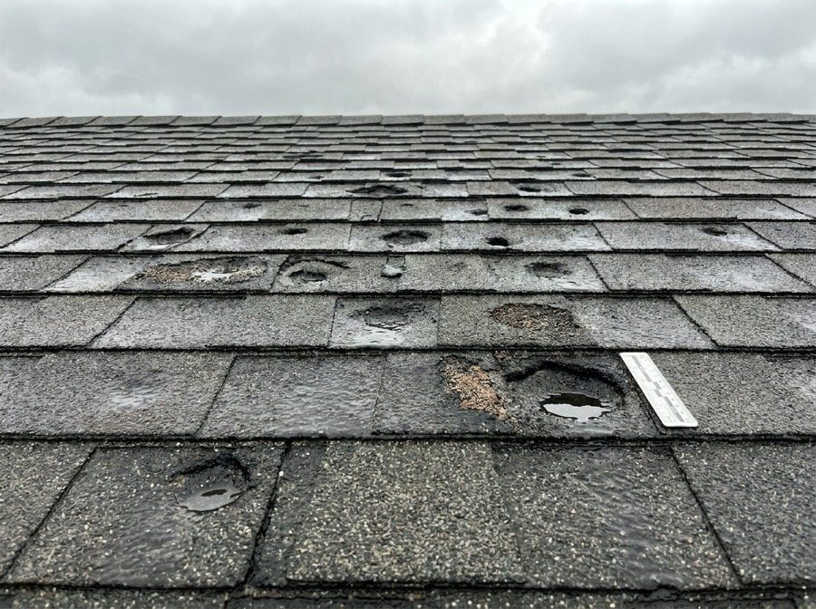 Hail-bruised shingles documented during storm inspection — DMV