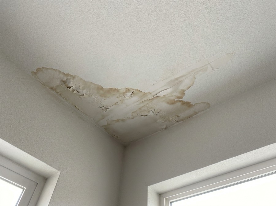 Active roof leak repair — DMV