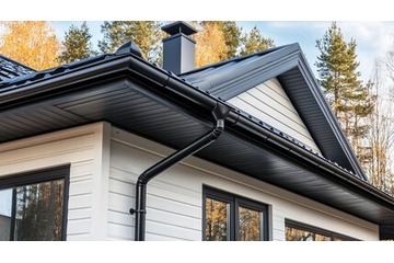 seasonal gutter services inspection in residential area