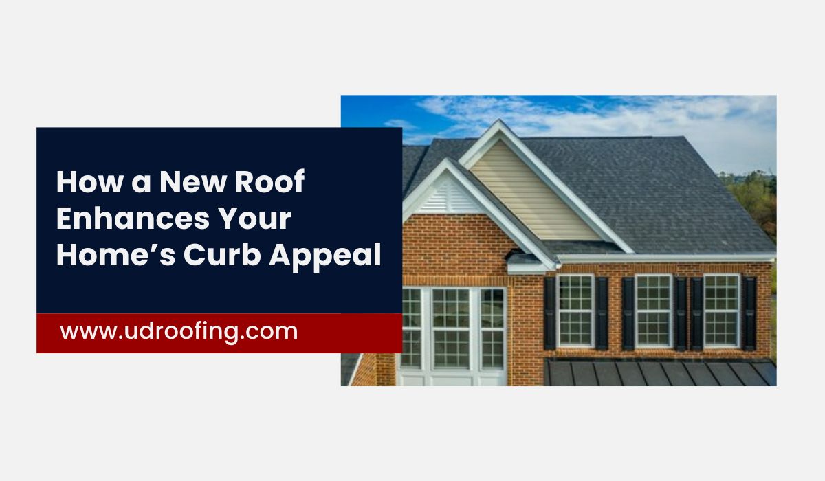 Enhancing Curb Appeal with a New Roof